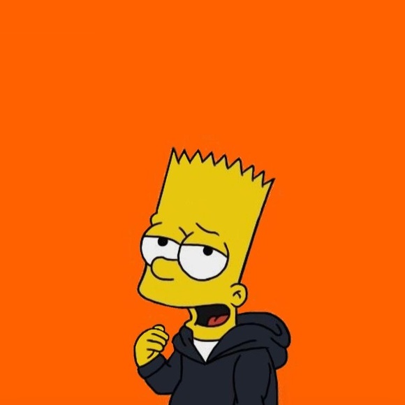 Meet your Posher, Malik - Picture 1 of 1